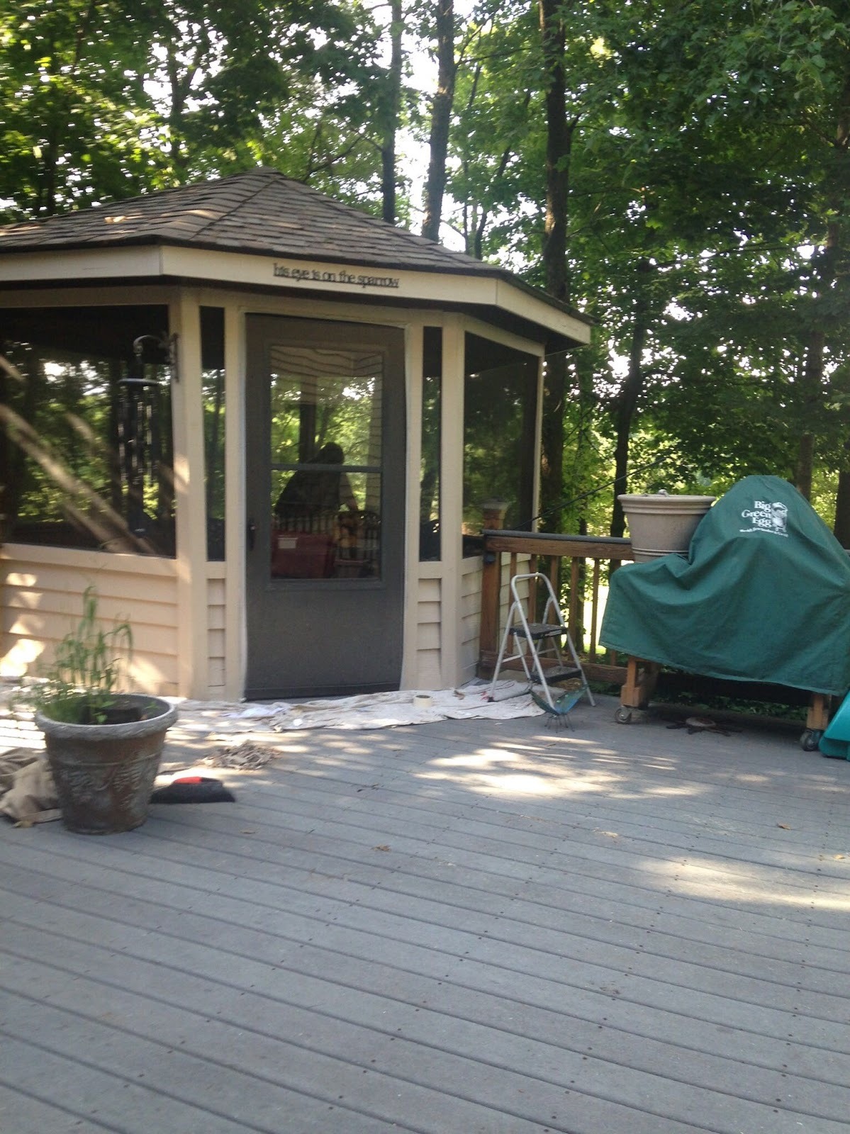 Deck Restoration and Power Washing